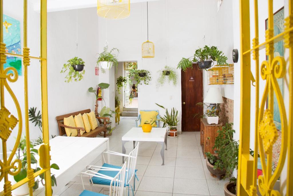Casa Canario Hostel Гвадалахара Екстер'єр фото