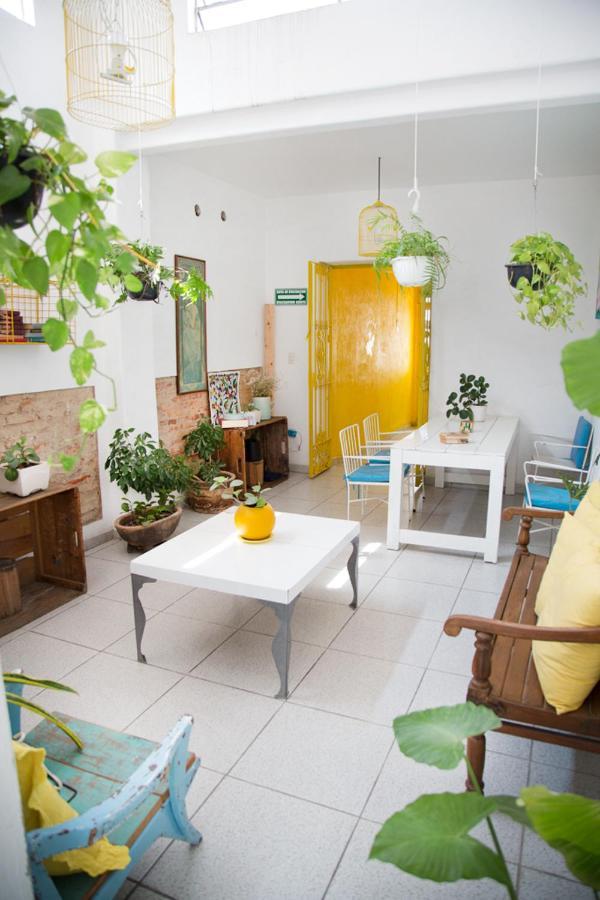 Casa Canario Hostel Гвадалахара Екстер'єр фото