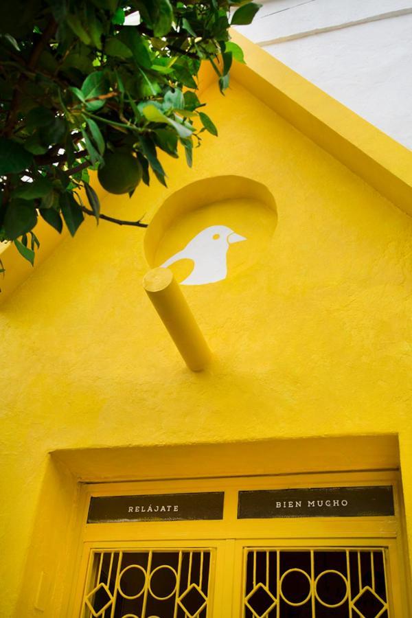 Casa Canario Hostel Гвадалахара Екстер'єр фото