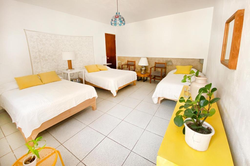 Casa Canario Hostel Гвадалахара Екстер'єр фото