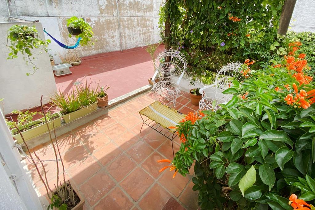 Casa Canario Hostel Гвадалахара Екстер'єр фото