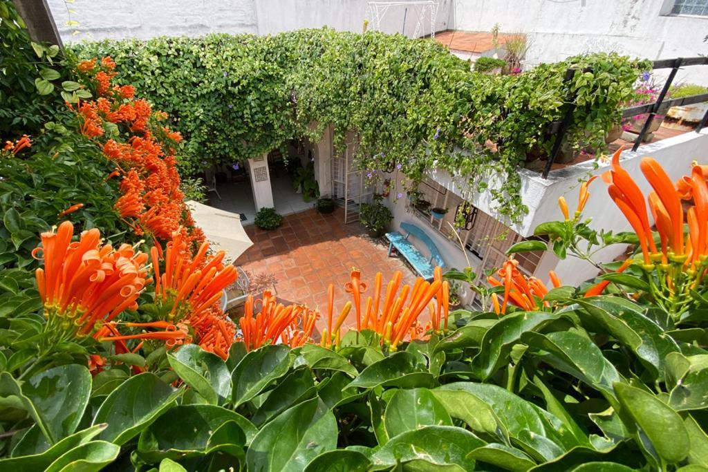 Casa Canario Hostel Гвадалахара Екстер'єр фото