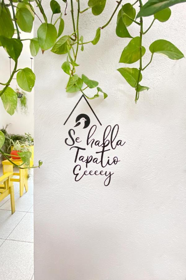 Casa Canario Hostel Гвадалахара Екстер'єр фото