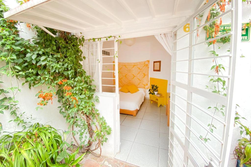 Casa Canario Hostel Гвадалахара Екстер'єр фото