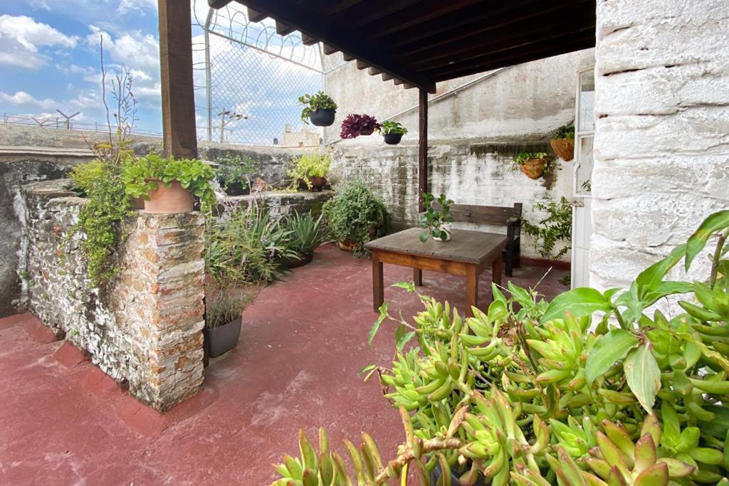 Casa Canario Hostel Гвадалахара Екстер'єр фото